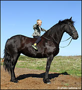 фотосъемка с лошадью