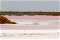 Адык страна Бумба. Поющий бархан, горящий источник, розовое озеро  Колтан-Нур калмыкия