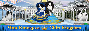 Японский хин - питомник японских хинов Чин Кингдом - Chin Kingdom